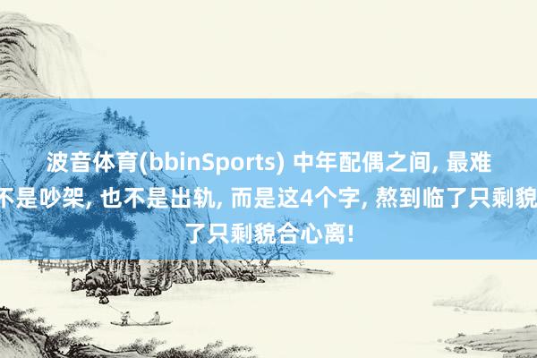 波音体育(bbinSports) 中年配偶之间, 最难受的从不是吵架, 也不是出轨, 而是这4个字, 熬到临了只剩貌合心离!