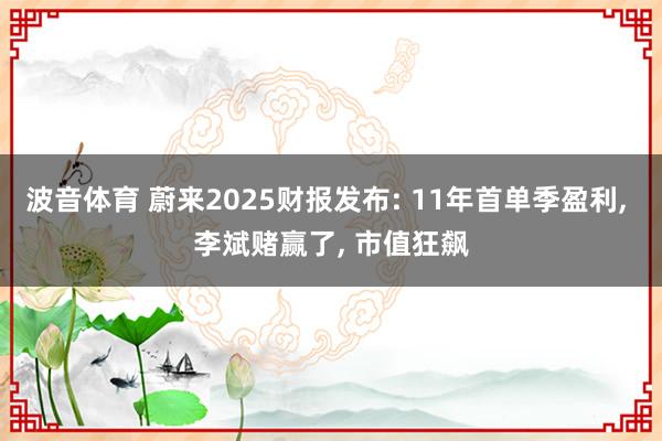 波音体育 蔚来2025财报发布: 11年首单季盈利, 李斌赌赢了, 市值狂飙