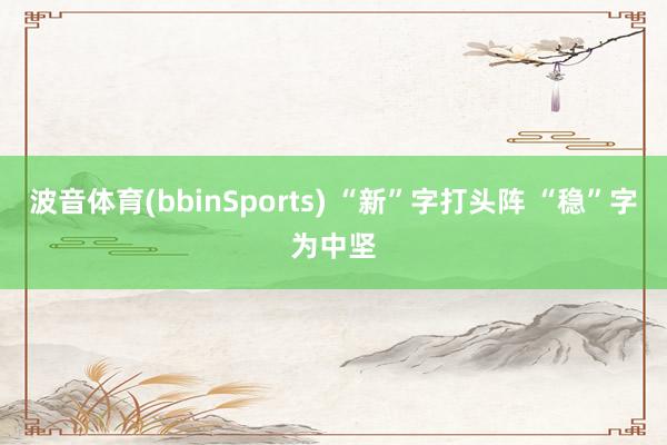 波音体育(bbinSports) “新”字打头阵 “稳”字为中坚