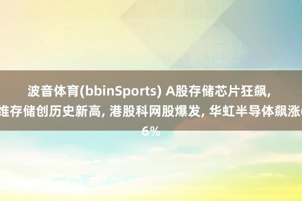 波音体育(bbinSports) A股存储芯片狂飙, 佰维存储创历史新高, 港股科网股爆发, 华虹半导体飙涨6%