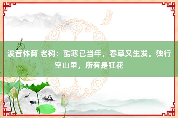 波音体育 老树：酷寒已当年，春草又生发。独行空山里，所有是狂花