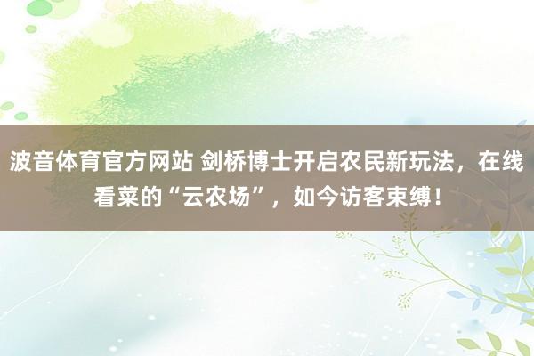 波音体育官方网站 剑桥博士开启农民新玩法，在线看菜的“云农场”，如今访客束缚！