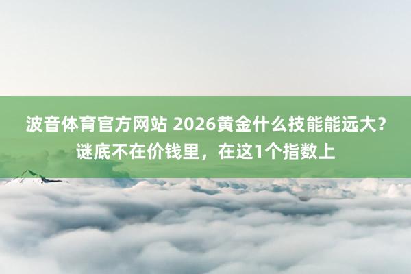 波音体育官方网站 2026黄金什么技能能远大？谜底不在价钱里，在这1个指数上