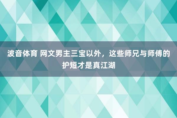 波音体育 网文男主三宝以外，这些师兄与师傅的护短才是真江湖