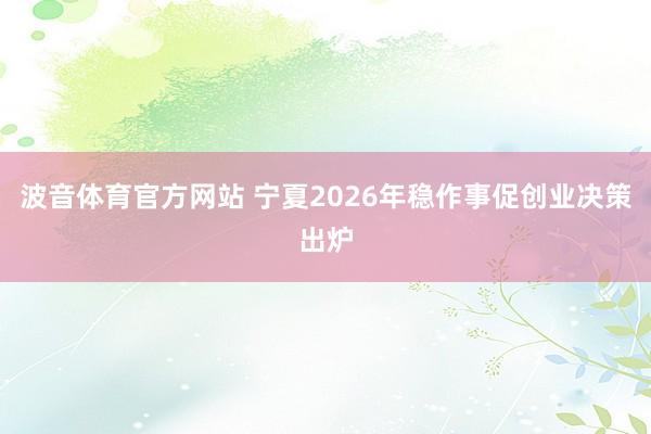 波音体育官方网站 宁夏2026年稳作事促创业决策出炉