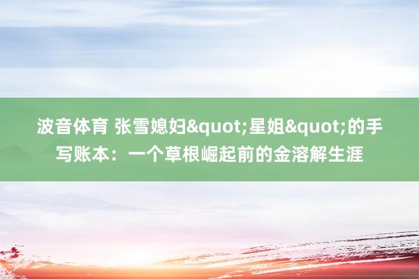 波音体育 张雪媳妇"星姐"的手写账本：一个草根崛起前的金溶解生涯
