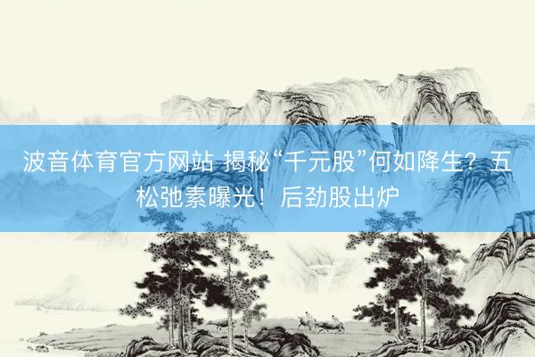 波音体育官方网站 揭秘“千元股”何如降生？五松弛素曝光！后劲股出炉