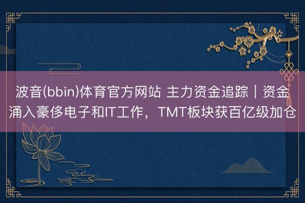 波音(bbin)体育官方网站 主力资金追踪｜资金涌入豪侈电子和IT工作，TMT板块获百亿级加仓
