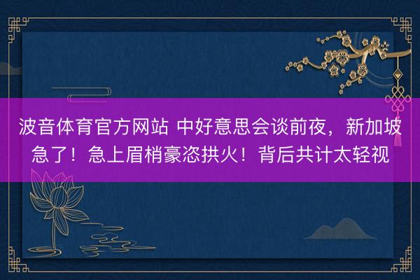 波音体育官方网站 中好意思会谈前夜，新加坡急了！急上眉梢豪恣拱火！背后共计太轻视