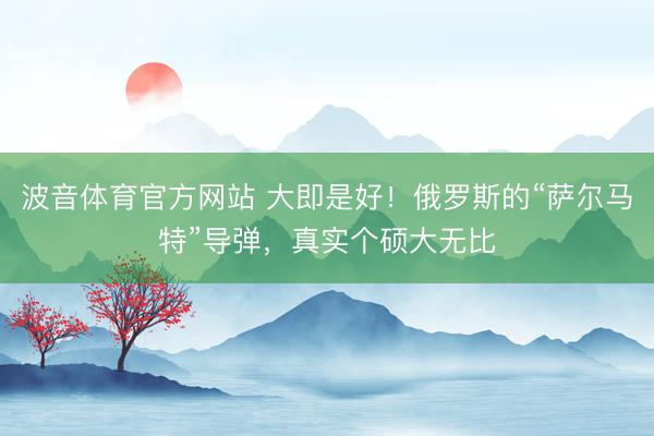 波音体育官方网站 大即是好！俄罗斯的“萨尔马特”导弹，真实个硕大无比