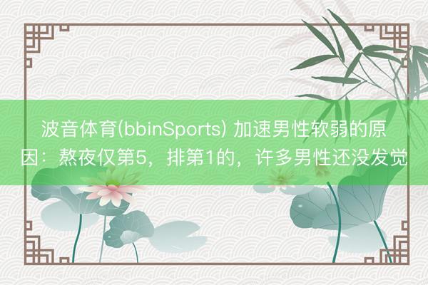 波音体育(bbinSports) 加速男性软弱的原因：熬夜仅第5，排第1的，许多男性还没发觉