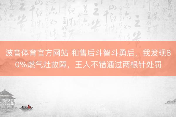 波音体育官方网站 和售后斗智斗勇后，我发现80%燃气灶故障，王人不错通过两根针处罚