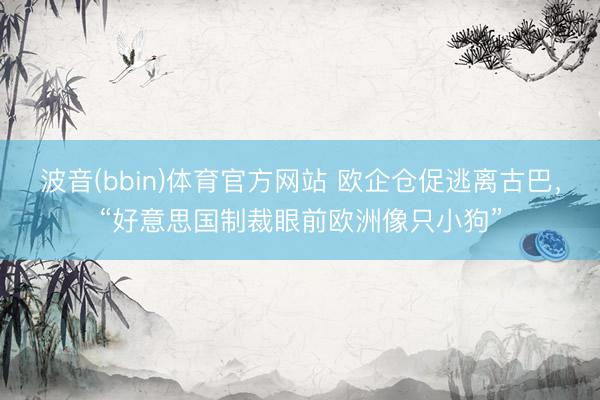 波音(bbin)体育官方网站 欧企仓促逃离古巴，“好意思国制裁眼前欧洲像只小狗”
