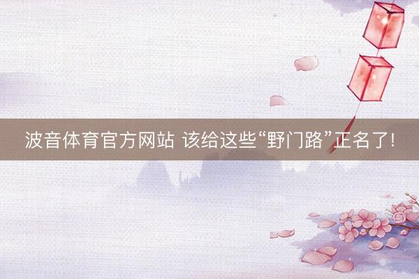波音体育官方网站 该给这些“野门路”正名了!