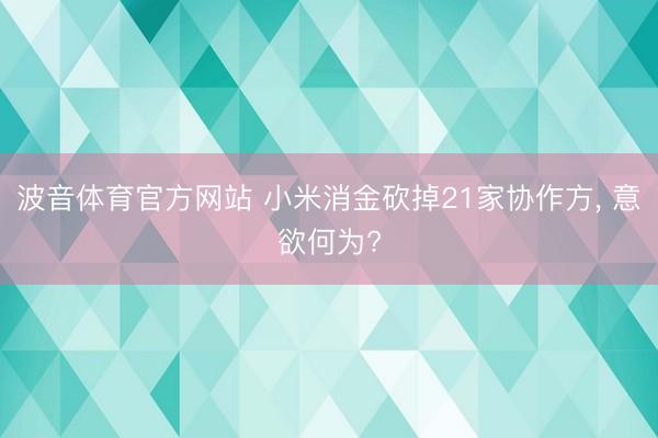 波音体育官方网站 小米消金砍掉21家协作方， 意欲何为?
